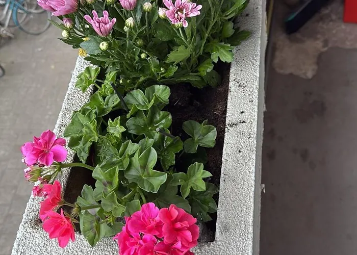 アパート Heart Of *