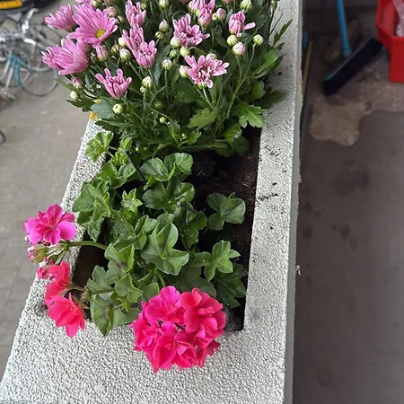 Apartamento Heart Of *